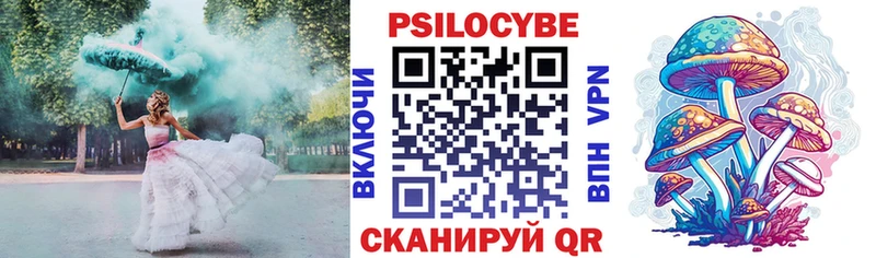 купить закладку  ссылка на мегу вход  Псилоцибиновые грибы MAGIC MUSHROOMS  Ессентуки 